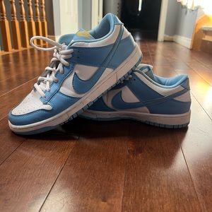 Nike dunk low coast